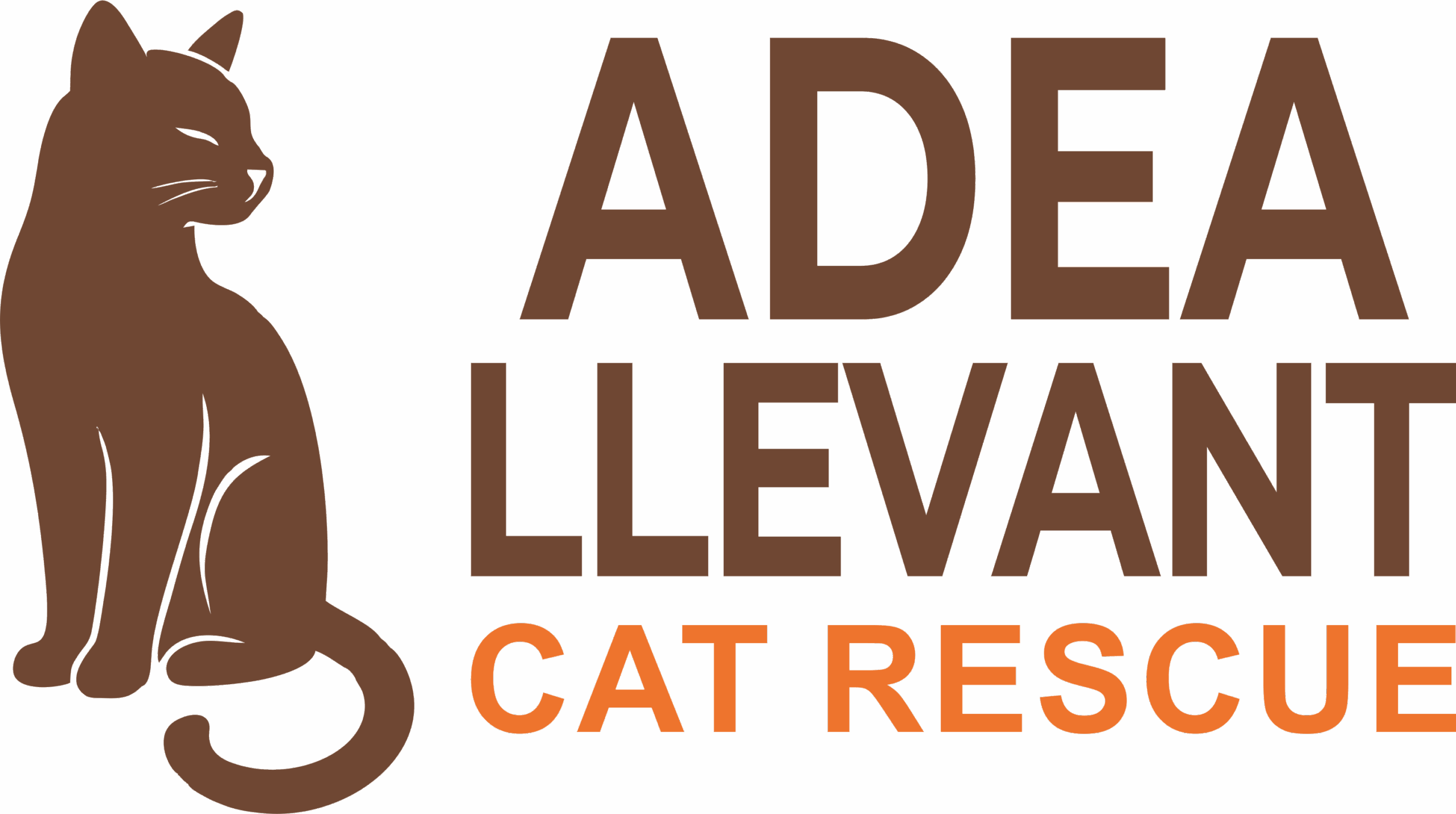 Katzenhilfe Mallorca | Rettung & Vermittlung